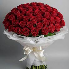 Букет 101 Красная роза Блэк Мэджик #REPLACE_PRED# Чамлыкской
