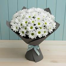 Букет цветов из:  Хризантемы #REPLACE_PRED# Чамлыкской