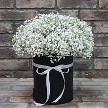 Цветочная композиция из Гипсофила в шляпной коробке в Чамлыкской