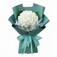 Букет цветов из:  Гортензия #REPLACE_PRED# Чамлыкской